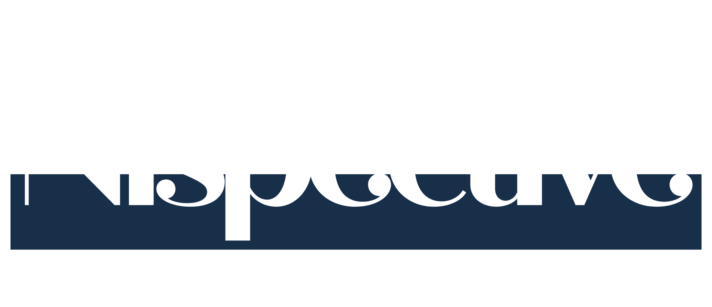 Nispective Logo